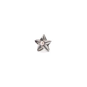 Trollbeads stjernetegns kugle Fisk stjerne