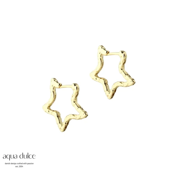 Forgyldte Stella Star Big Hoops fra Aqua Dulce