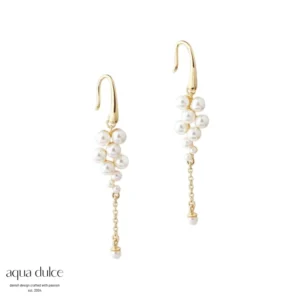 Luna cluster forgyldt ørehænger fra Aqua Dulce